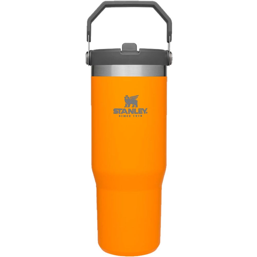 Copo Garrafa Stanley Tumbler Flip Polar c/ Canudo 887 ml - Garrafa