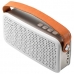 Caixa de som Speaker Pulse SP248 20 Watts RMS e Auxiliar - Branco/Prata