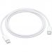 Cabo de Carregamento Apple USB-C MUF72AM/A (1 Metro)