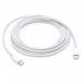 Cabo de Carregamento Apple MLL82AM USB-C (2 Metros)