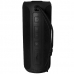 Caixa de Som Nakamichi Thrill 24 Watts e Auxiliar - Preto