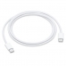 Cabo Apple USB-C MM093ZE/A para Macbook / 1 Metro - Branco (Original)