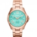 Relogio Fossil AM4540