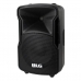 Caixa de Som BLG BP14-08A13 - USB/Aux/Mic - - FM - 450W - 8" - Preto
