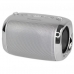 Caixa de Som Ecopower EP-2310 - USB/SD/Aux - - 5W - Prata