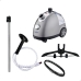 Steamer Ferro Vaporizador De Roupas Cortinas Sofá Cor Cinza