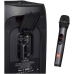 Microfone Inalambrico JBL Con Receptor de Doble Canal - 2 Unidades
