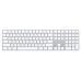 Teclado Magic Apple MQ052LL (Ingles)