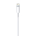 Cabo USB Lightning Apple MD819AM/A - 2 Metros
