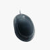 Mouse FTX FTXM101 800DPI/3 Bot/Negro USB