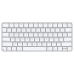 Teclado Magic Apple com Touch Id para Mac (Ingles) MK293LL (2021)