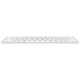 Teclado Magic Apple com Touch Id para Mac (Ingles) MK293LL (2021)