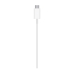 Carregador Apple MHXH3ZE/A Magsafe USB-C 20W Original - Branco