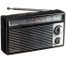 Radio Portatil Panasonic RF-562DD2 A Pilha - Preto