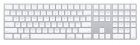 Teclado Magic Apple MQ052LL (Ingles)
