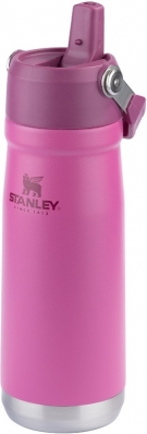 Garrafa Termica com Bico Stanley Classic The Iceflow 10-09992-099 (650ML) Azalea
