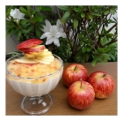 IOGURTEIRA Izumi IZ03 Cinza