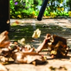 Aspirador de Pó e Água Kärcher WDL 1 1500W Tanque 10L Alcance de 7,5m Filtro Lavável e Função Soprador