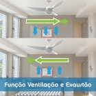 Ventilador Teto Aliseu Dunni Com Controle De Parede